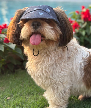 Pawgy Pets Dog Cap: Denim Minnie for Dog & Cats