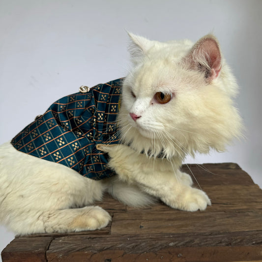 Pawgy Pets Cat Strapy Sherwani Peacock Blue for Cats