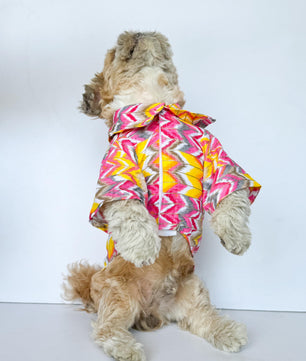 Pawgy Pets Zig-Zag kurta Pink for Dogs