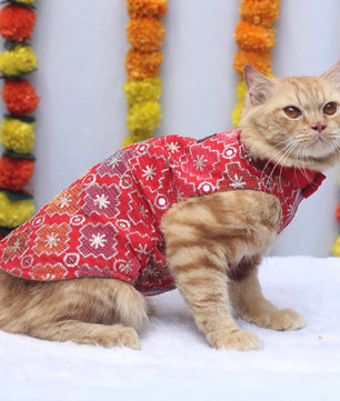 Pawgy Pets Festive Shirt Patola for Cats