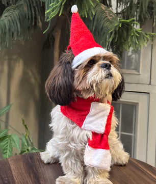 Pawgy Pets Dog Christmas Scarf