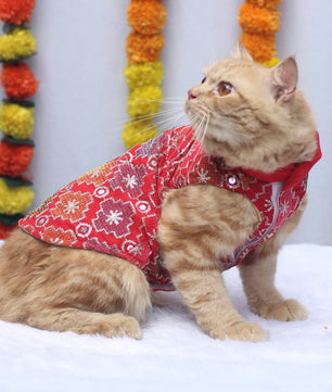 Pawgy Pets Festive Shirt Patola for Cats
