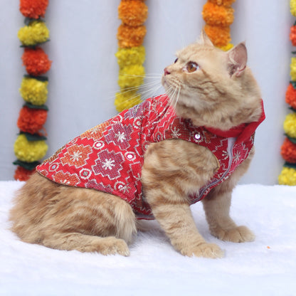 Patola Festive Shirt | For Cats | Pawgy Pets
