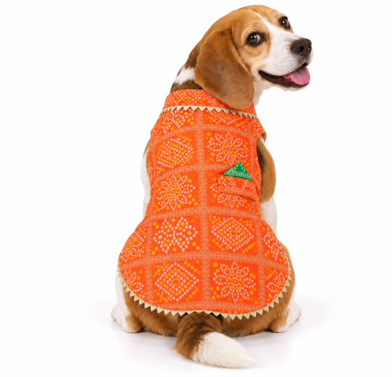 Orange Bandhani Kurta | For Dogs | Pawgy Pets