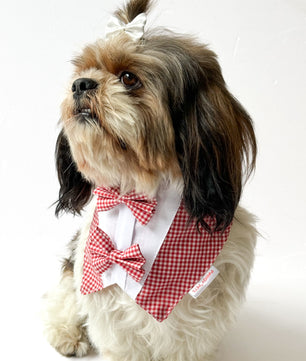 Pawgy Pets Casual Check Bandana: Red for Dogs & Cats