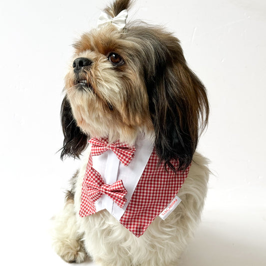 Pawgy Pets Casual Check Bandana: Red for Dogs & Cats
