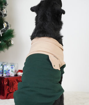 Pawgy Pets Hoodie Pet Sweatshirt - Olive green & Beige
