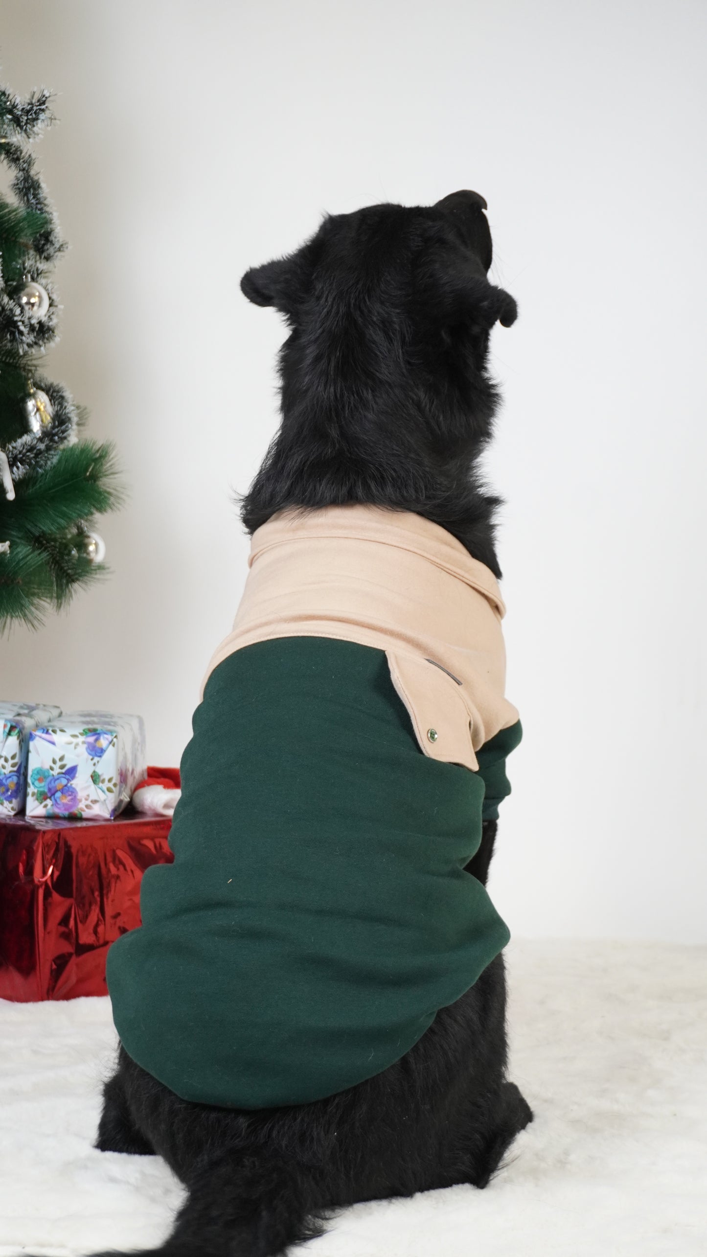 Olive Green & Beige Hoodie Sweatshirt | For Dogs & Cats | Pawgy Pets