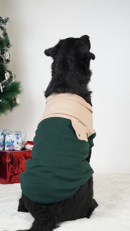 Olive Green & Beige Hoodie Sweatshirt | For Dogs & Cats | Pawgy Pets