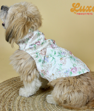 Luxe by Pawgy Pets Floral Sherwani White