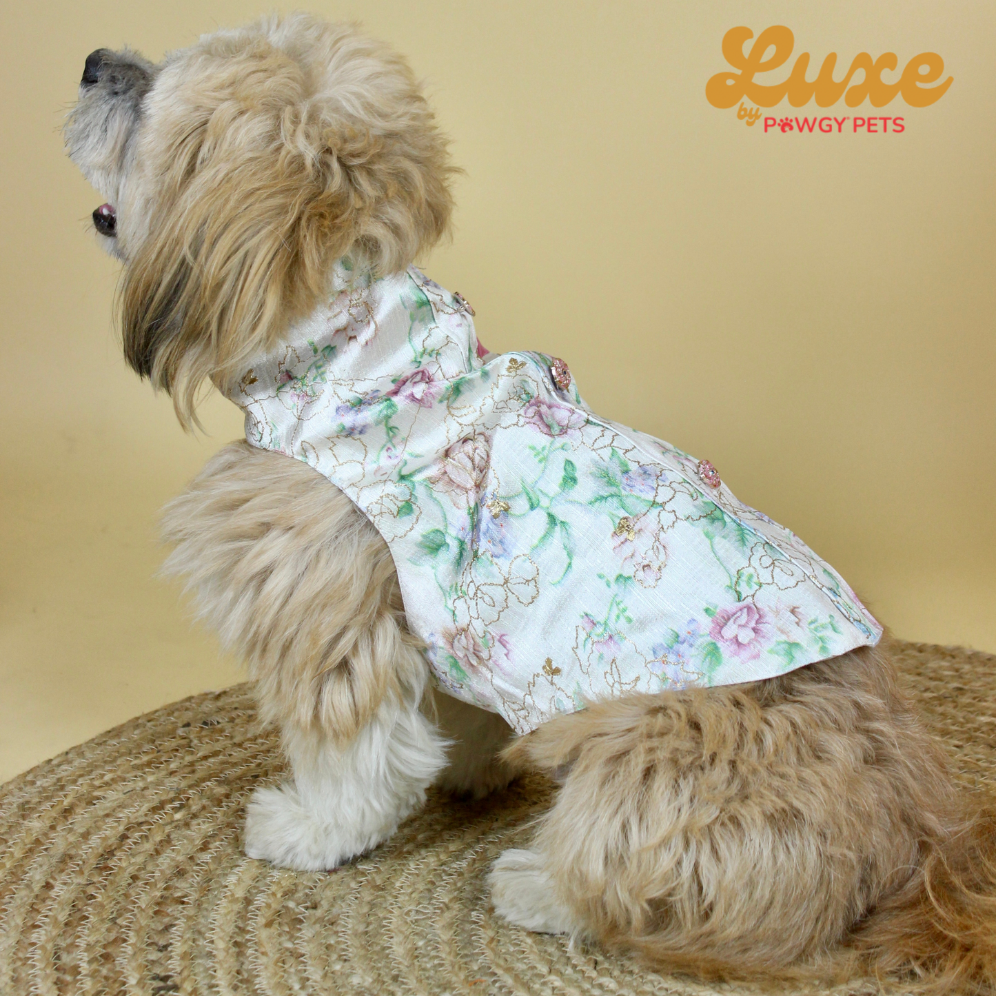 White Floral Sherwani | Luxe Collection | Pawgy Pets