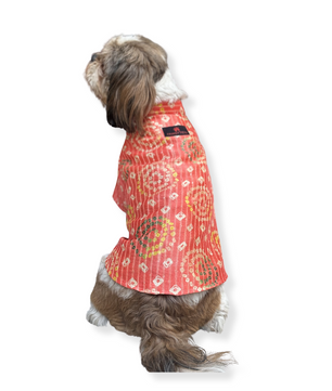 Pawgy Pets Silk Kurta: Peach for Dogs