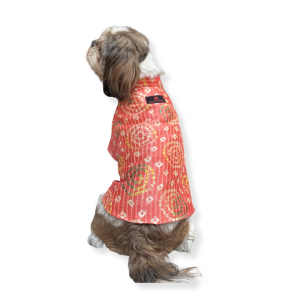 Pawgy Pets Silk Kurta: Peach for Dogs