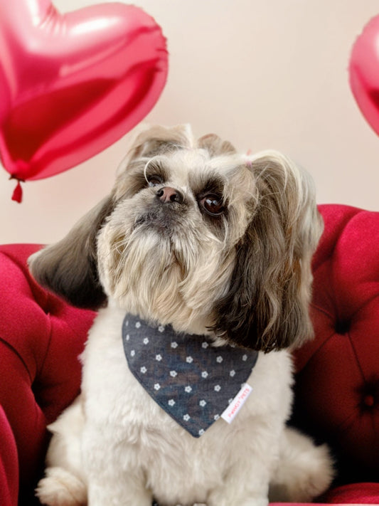 Pawgy Pets Floral Denim Bandana for Dogs & Cats