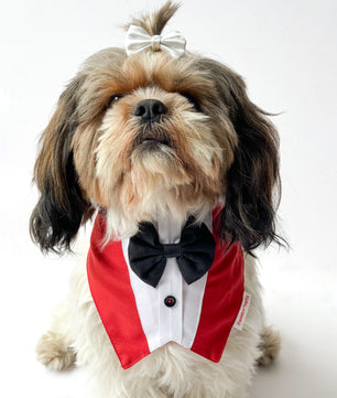 Pawgy Pets Formal Tux Bandana: Red for Dogs & Cats