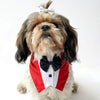 Red Formal Tux Bandana | For Dogs & Cats | Pawgy Pets