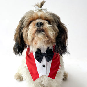 Red Formal Tux Bandana | For Dogs & Cats | Pawgy Pets