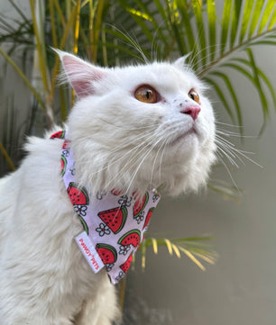 Pawgy Pets Casual Bandana: Pink Daisymelon for Cats and Dogs