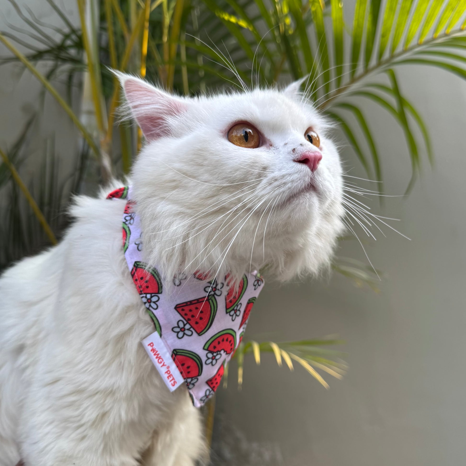 Pawgy Pets Casual Bandana: Pink Daisymelon for Cats and Dogs