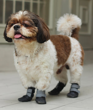 Pawgy Walkies – Everyday Dog Shoes: Set of 4