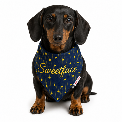 Denim Yellow Star Bandana | Personalised for Dogs | Pawgy Pets