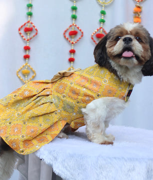 Pawgy Pets Festive Dress Patola for Dogs