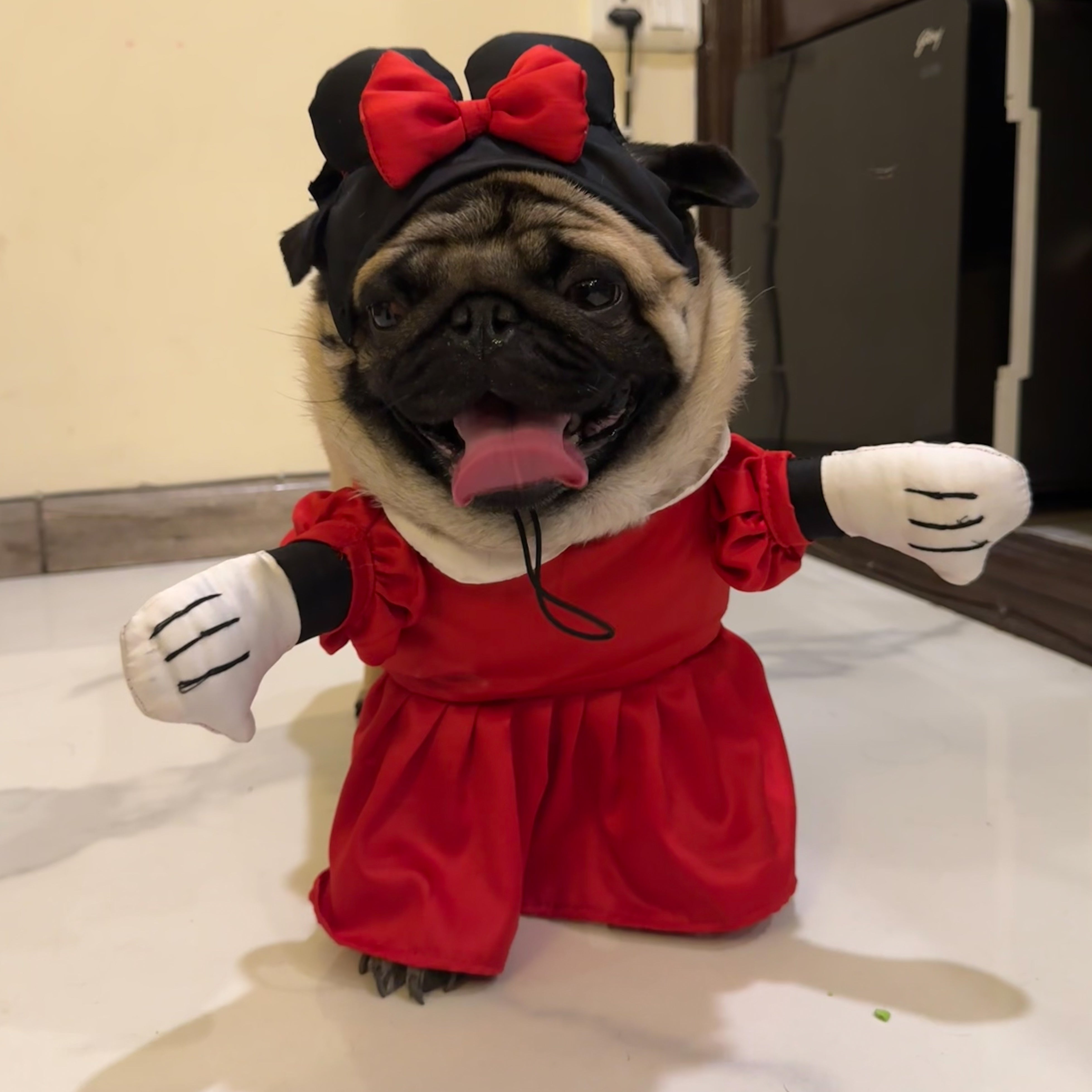 Minnie dog costume hotsell