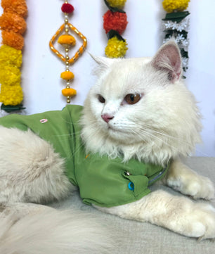 Pawgy Pet Festive kurta Pista Green (Cat)