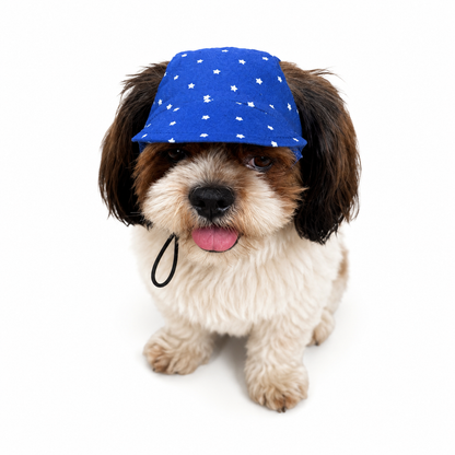 Royal Blue Star Cap | For Dogs | Pawgy Pets