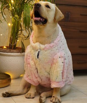 Pawgy Pets Fur sweater: Heart Pastel Rainbow for Dogs & Cats