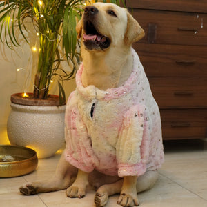 Heart Pastel Rainbow Fur Sweater | For Dogs & Cats | Pawgy Pets