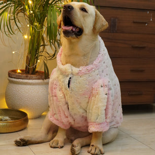 Pawgy Pets Fur sweater: Heart Pastel Rainbow for Dogs & Cats