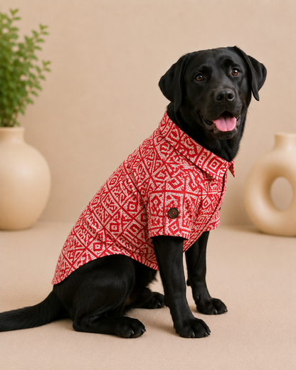 Rust Cotton Kurta | For Dogs | Pawgy Pets