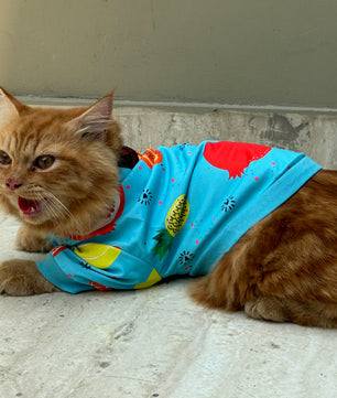 Pawgy Pets T-shirt for Cats