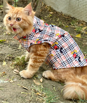 Pawgy Pets Mickey Check Sando (Cat)
