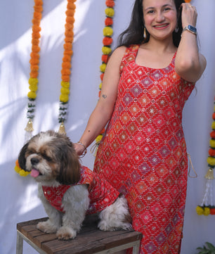 Mehfil Kurti for Women + Doggo Kurta