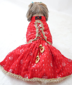 Pawgy Pets Red Net Lehenga for Dogs & Cats