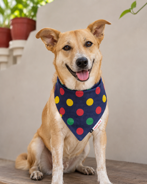Denim Multi Polka Bandana | For Dogs | Pawgy Pets
