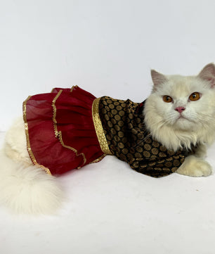 Pawgy Pets Occasion wear Dress Black: Cat