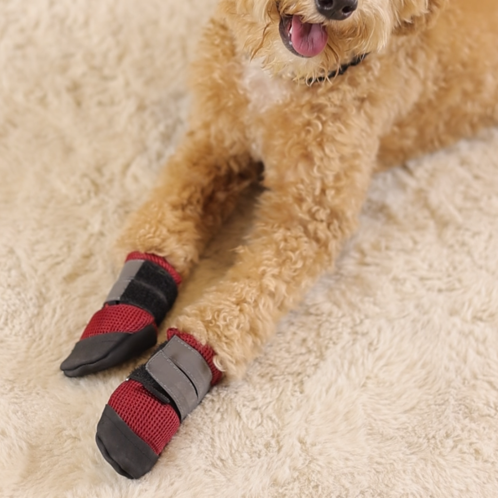 Pawgy Walkies – Breathable Dog Shoes: Set of 4 (Maroon)