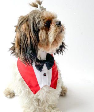 Pawgy Pets Formal Tux Bandana: Red for Dogs & Cats