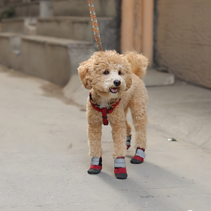 Pawgy Walkies – Breathable Dog Shoes: Set of 4 (Maroon)