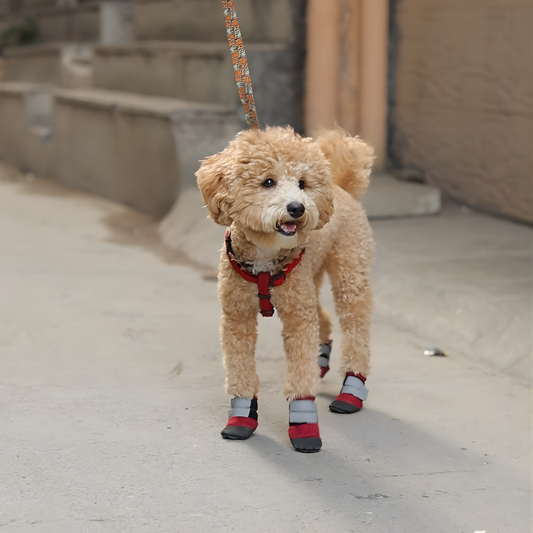 Pawgy Walkies – Breathable Dog Shoes: Set of 4 (Maroon)
