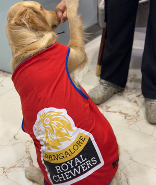 Pawgy Pets Bangalore Royal Chewers T-shirt for Dogs and Cats