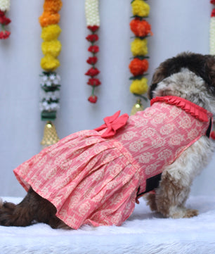 Pawgy Pets Block Print Dress Peach for Dogs