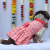 Peach Block Print Dress | For Dogs | Pawgy Pets