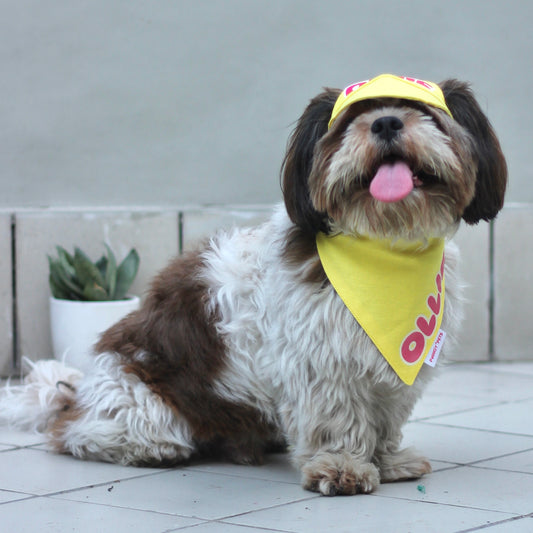 Pawgy Pets Personalised Dog Cap and Bandana: Yellow for Dogs & Cats