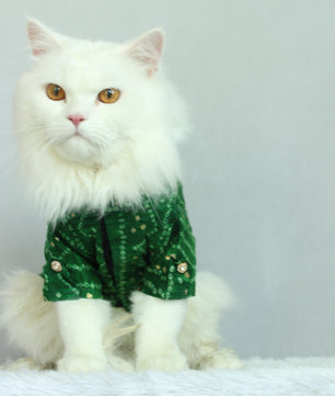 Pawgy Pets Green Bandani kurta for Cats
