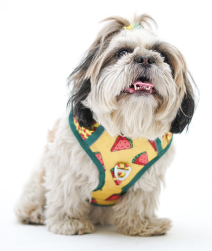 Pawgy Pets Padded Harness Watermelon