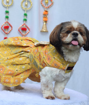 Pawgy Pets Festive Dress Patola for Dogs